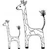 Giraffes - Large & Small