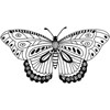Medium Butterfly