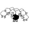 Le mouton noir dans un troupeau de moutons blancs