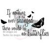 If nothing ever changed there would be no butterflies