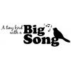 A Tiny Bird with a Big Song