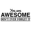 You are awesome...