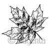 Maple Leaf Small