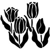 4 Tulips