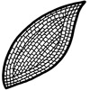 Mosaic Leaf