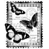 Papillons Post Card - 3 Butterflies in a Frame