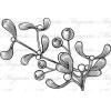 Holiday Branch - Mistletoe