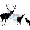 Small Deer Family 1
