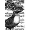 Pine Bough Bird Collage
