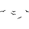 Small Birds In Sky